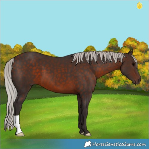 Horse Color:Silver Brown 
