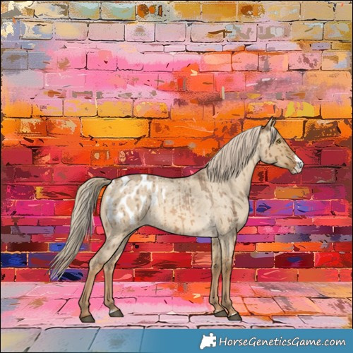 Horse Color:Chocolate Palomino Roan Dun Sabino Appaloosa Brindle