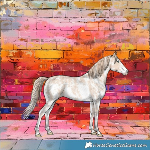 Horse Color:Perlino Sabino 
