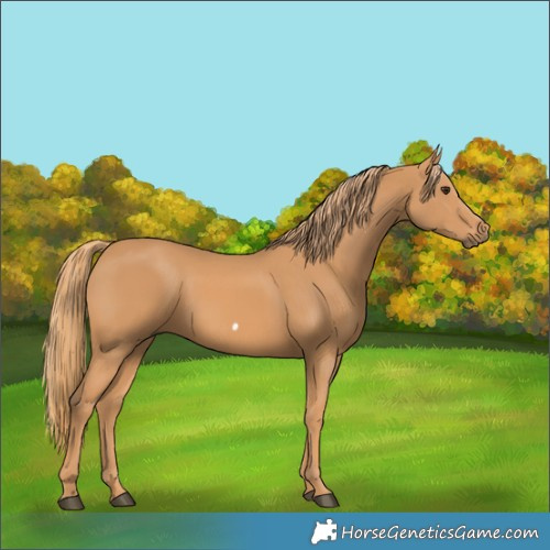 Horse Color:Chestnut Frame