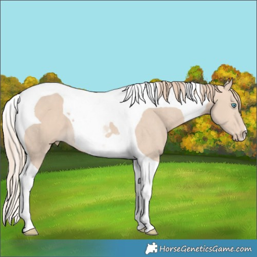 Horse Color:Perlino Tobiano 