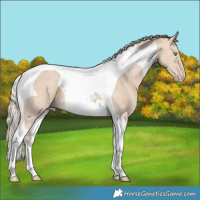 Horse Color:Perlino Tobiano
