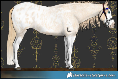 Horse Color:Red Dun Roan Splash Frame Appaloosa Rabicano 