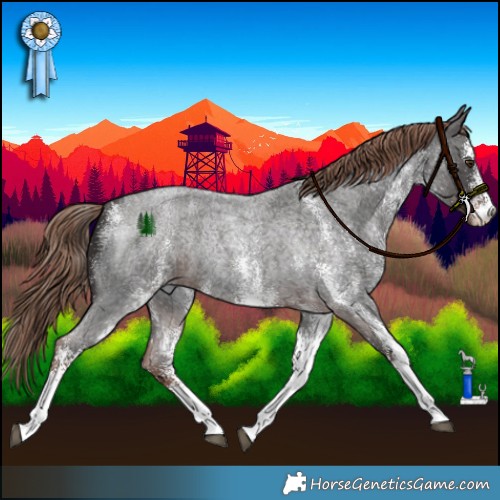 Horse Color:White Spotted Liver Red Roan Rabicano 