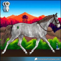 Horse Color:White Spotted Liver Red Roan Rabicano 