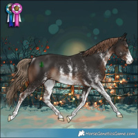 Horse Color:White Spotted Liver Chestnut Rabicano