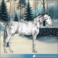 Horse Color:Brown Sabino Splash