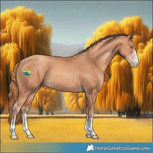 Horse Color:Gold Champagne 