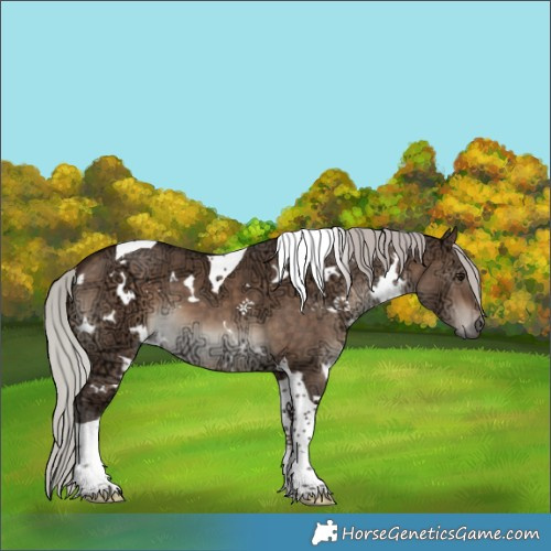 Horse Color:White Spotted Silver Brown Ice Dun Tobiano 