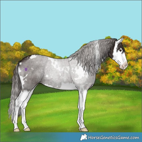 Horse Color:White Spotted Liver Chestnut Splash 