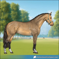Horse Color:Buckskin Dun 