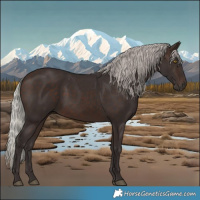 Horse Color:Silver Brown 