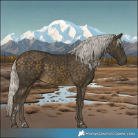 Horse Color:Silver Buckskin 