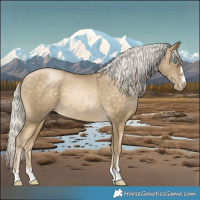 Horse Color:Silver Buckskin Pearl