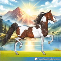 Horse Color:Bay Tobiano Snowflake Varnish 
