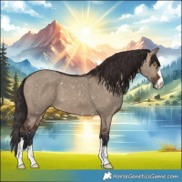 Horse Color:Brown Dun Snowflake Varnish