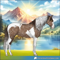 Horse Color:Liver Red Dun Tobiano Snowflake Varnish
