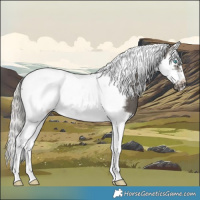 Horse Color:Silver Black Splash Tobiano Frame