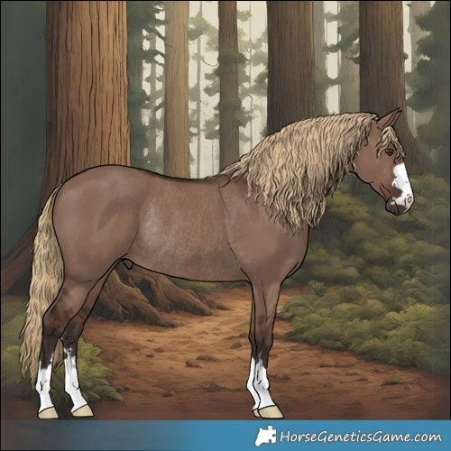 Horse Color:Liver Red Dun Rabicano