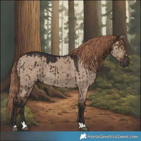 Horse Color:Liver Red Dun Brindle 