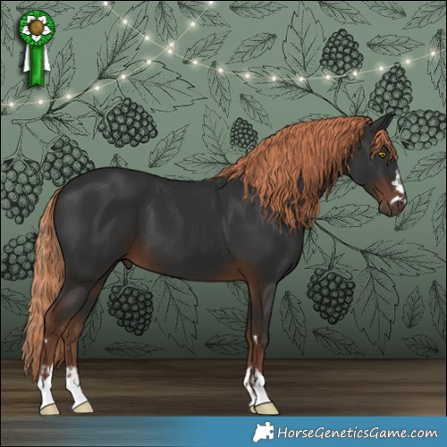 Horse Color:Liver Chestnut  and Liver Chestnut 