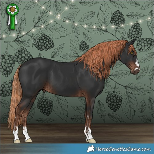Horse Color:Liver Chestnut  and Liver Chestnut 