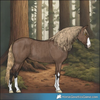 Horse Color:Liver Red Dun Brindle 