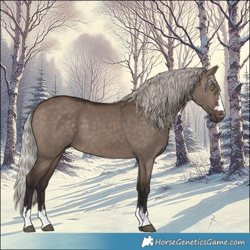 Horse Color:Silver Brown Dun 