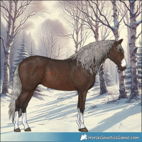 Horse Color:Silver Brown