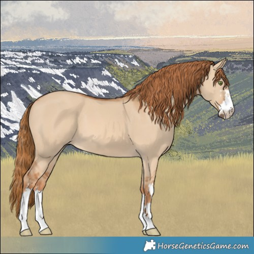 Horse Color:Red Dun 