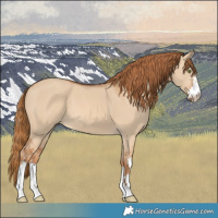 Horse Color:Red Dun 