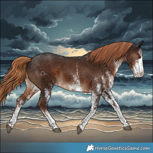 Horse Color:White Spotted Liver Chestnut