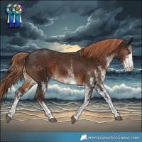 Horse Color:White Spotted Liver Chestnut 