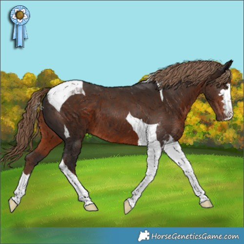 Horse Color:Liver Chestnut Tobiano 