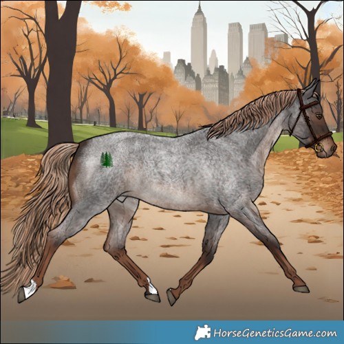 Horse Color:Liver Red Roan Rabicano 