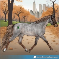 Horse Color:Liver Red Roan Rabicano 