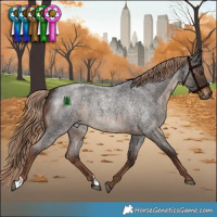 Horse Color:Liver Red Roan Rabicano