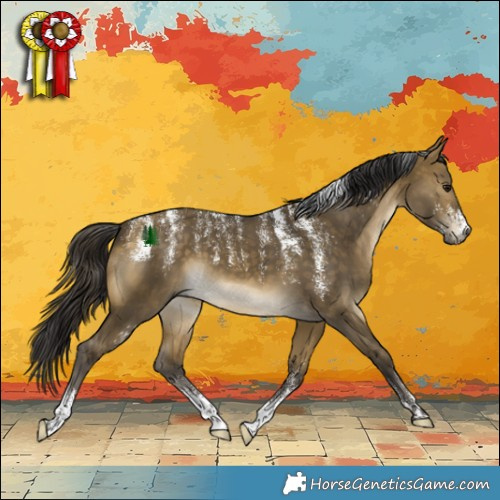 Horse Color:Powder White Buckskin Dun 