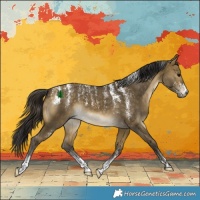 Horse Color:Powder White Buckskin Dun 