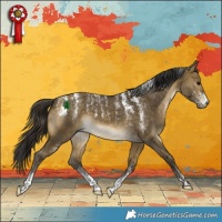 Horse Color:Powder White Buckskin Dun 