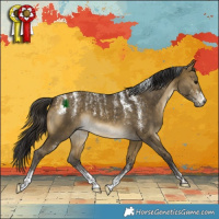 Horse Color:Powder White Buckskin Dun 
