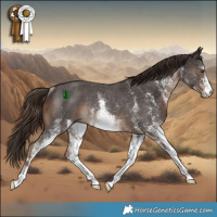 Horse Color:White Spotted Liver Chestnut Rabicano