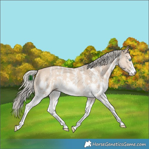 Horse Color:Cremello Sabino 