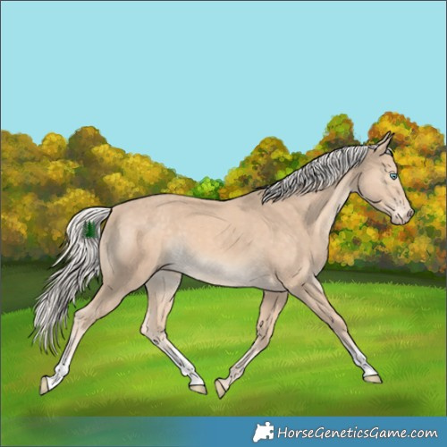 Horse Color:Cremello 