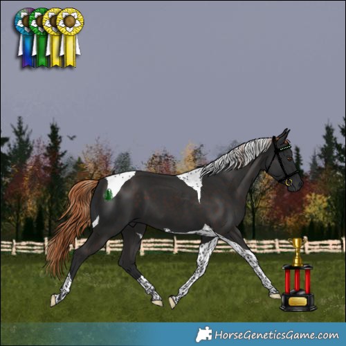 Horse Color:Liver Chestnut Tobiano 
