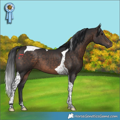 Horse Color:Brown Tobiano