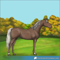 Horse Color:Silver Black