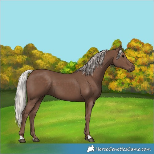 Horse Color:Silver Black