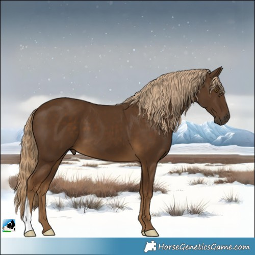 Horse Color:Chocolate Palomino 