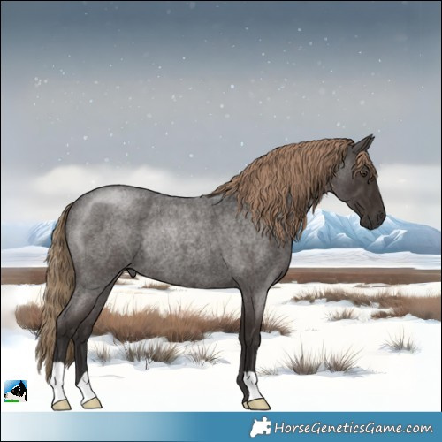 Horse Color:Liver Red Roan Rabicano 